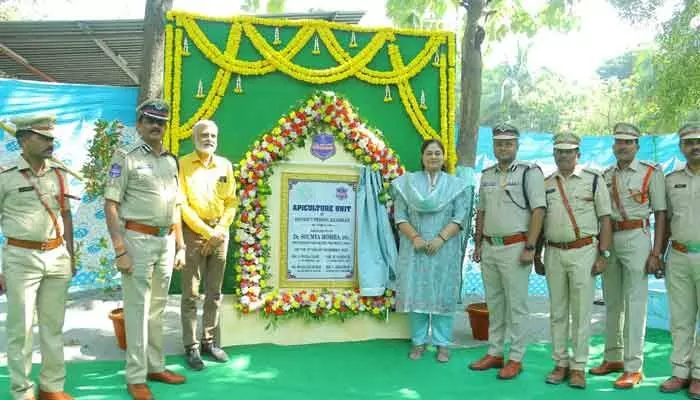 New jail stall launched to provide clean honey to citizens and offer livelihood opportunities to inmates.