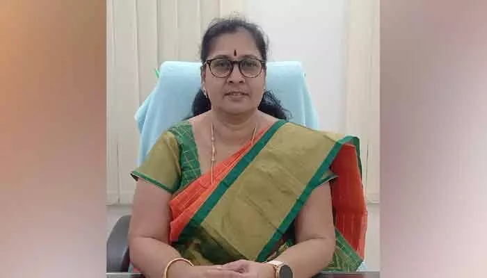 Eleven clusters set up in Madgula Mandal to receive nominations for 34 village panchayats, MPDO Vijayalakshmi announced.