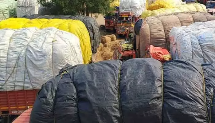 Farmers incur losses in cotton purchase, while middlemen make huge profits.