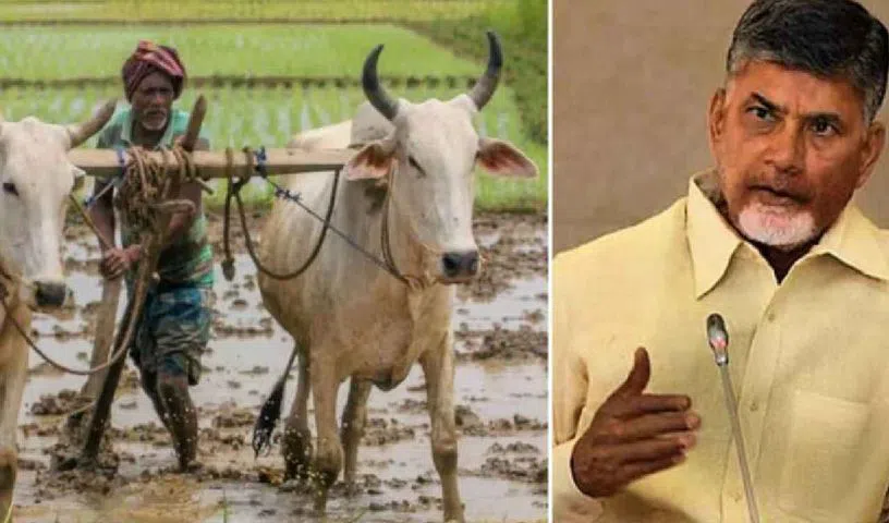 AP CM Chandrababu released the second installment of PM Kisan, depositing a total of Rs 7,000 in farmers’ accounts.